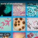Identification of pathogenic Fungi 이미지
