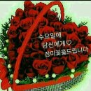 꽃보다사랑 이미지