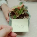사랑나무아동발달센터