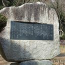 완월동105 이미지