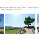 (주)경포아쿠아리움 이미지