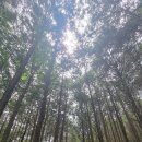 평거119안전센터 이미지