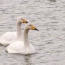 친구처럼B 이미지