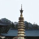 월정사 - 1357 | 월정사