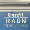 크로스핏 라온3 이미지