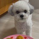 개스토랑 이미지