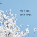 봄날