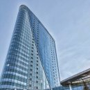 2025년 국정감사에서 폐동맥고혈압 관련 진행내용 정리기사 이미지