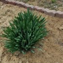 야생화정원펜션민박 이미지