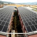 명지태양광발전소 이미지