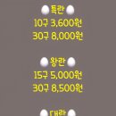 새벽알유통 이미지