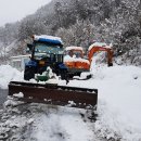 성주군 금수면 경안일보