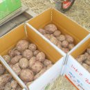 자미농장 이미지