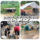 도그 에이스 | 2025년 경기청년 갭이어 &lt;도전과 변화&gt; 후기