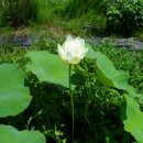 백연농장 이미지