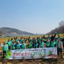 (주)나무새