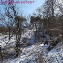 여주-1129 이미지