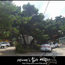 말리텐트에 그라비티 타프 영천신원휴양림에서 캠핑