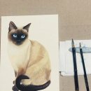 (초급)민화 그리기 이미지