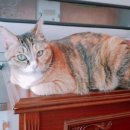 구산2주공아파트 이미지