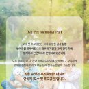 광천공용버스터미널 이미지