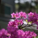 화이트홀 이미지