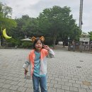 호신태권도 이미지