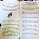 아사비야 | 역사의 절반은 이동 중이었다 — 노마드가 바꾼 세계사