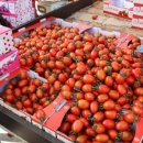 태성2 태양광 발전소 이미지