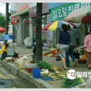 동해-단속-11 이미지