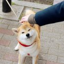 몽글몽글 이미지