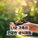 이롬 | 3040 건강 및 노후 준비 이롬헬스케어 다단계 사업 솔직 후기