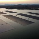 세비야태양광발전소 이미지