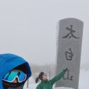그린베리어 이미지
