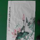 최명규 Daum카페
