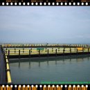 정남진 해양낚시공원 이미지