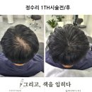 그리고색을입히다