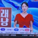 (주)파워홀딩스3태양광발전소 | ◐ MTN 오늘 장(14일) 고래 사냥, 증시 전문가들의 내일장 투자전략?