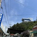 삼척 장호항 배낚시체험후기 • 일선호