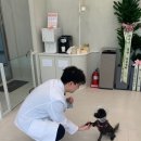 북부 동물병원 이미지