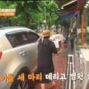 이상록동물병원 이미지