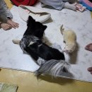 5월 봉사 후기