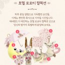에버랜드 6월 할인 꿀팁 | 클룩 셔틀버스+워터쿨 프로모션 조합으로 결정한 이유