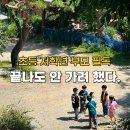 뛰는 법보다 먼저 배운 건 "멈추는 법"… 저학년 부모들이 찾는 이유