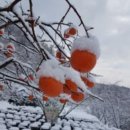 주 없인 살 수 없네 이미지