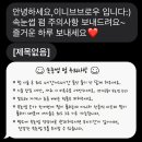 이니브 브로우 네이버블로그