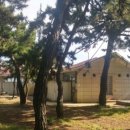 해파랑길 40코스 바우길 12구간 이미지