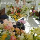 피오네스트플라워 | 인천꽃배달 피오네스트플라워 근조화환