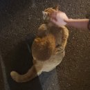 벅거 노래연습장 이미지