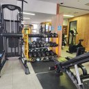 용인대NEW복싱 이미지